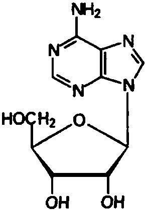 adenohypophysis